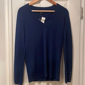 Banana Republic Merino Wool V Neck Brand New with Tags